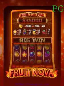 Explorando o Mundo de FruitNova: Um Guia Completo
